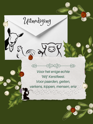 Insta bericht Het enige echte