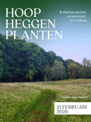 Screenshot 2026-02-03 at 21-25-59 (1) Instagram